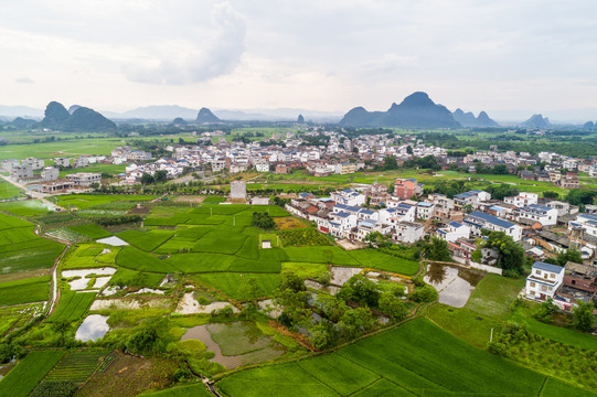 田园