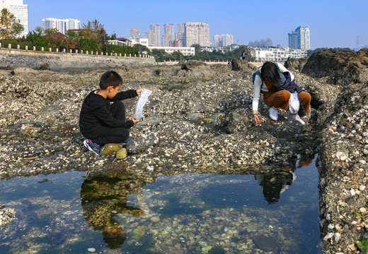 赶海