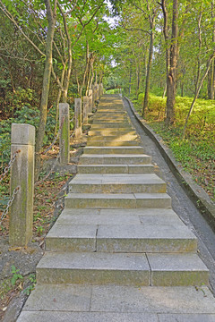 登山道