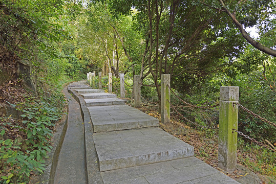 登山道