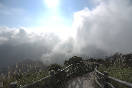 登山道