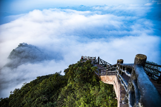 登山道