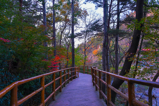 山路