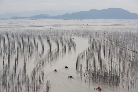 霞浦