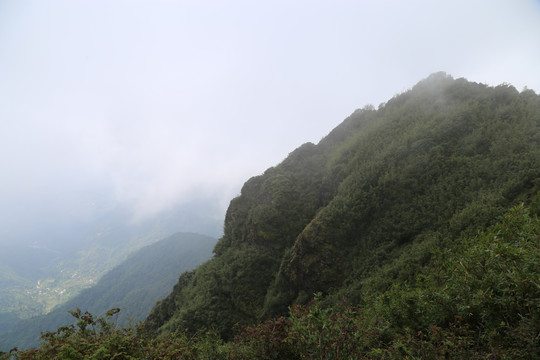 凤庆大雪山黄竹林箐