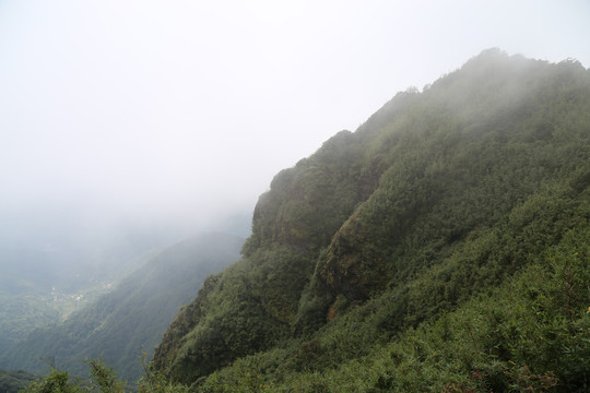 凤庆大雪山黄竹林箐