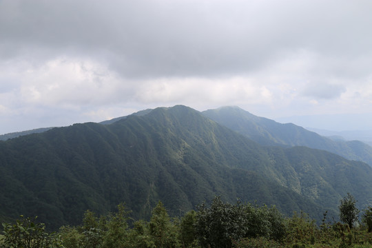 凤庆大雪山黄竹林箐