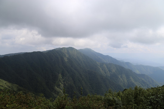 凤庆大雪山黄竹林箐