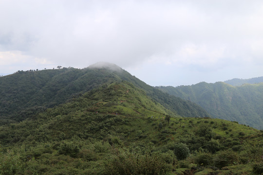 凤庆大雪山黄竹林箐