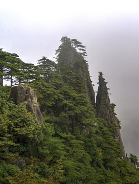 安徽黄山奇松怪石