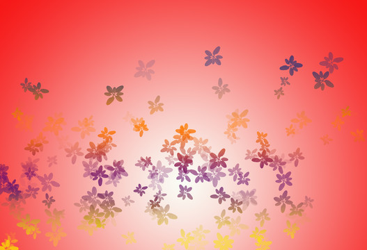 花色