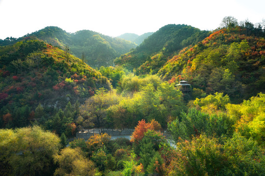 济南九如山深秋红叶