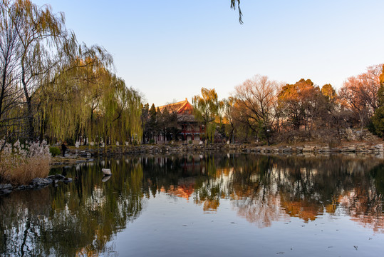 北大校园未名湖秋色红四楼备斋