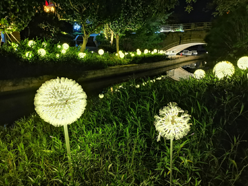 深圳欢乐海岸夜景蒲公英