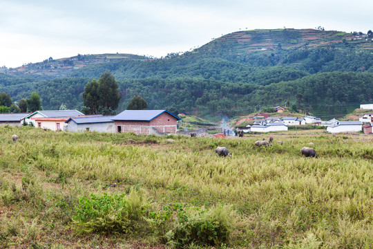 凉山州彝族乡村风貌