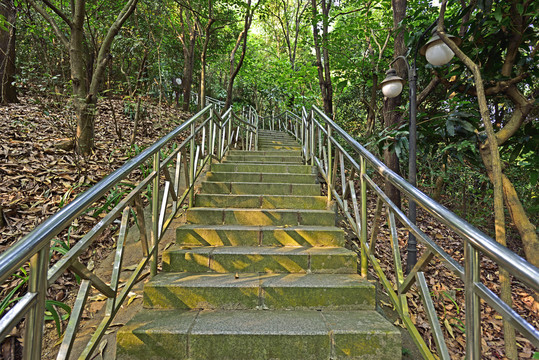 登山道