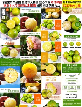 皇帝柑詳情