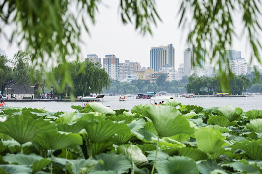 大明湖