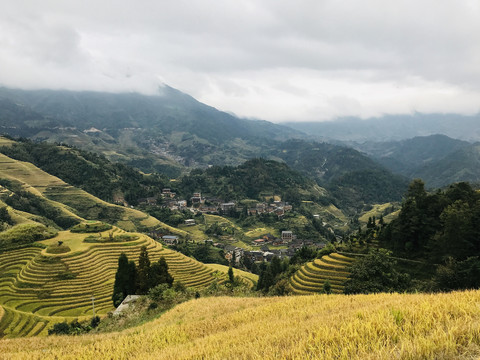 龙脊梯田