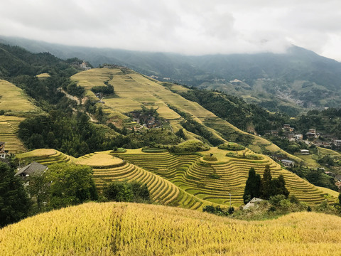 龙脊梯田