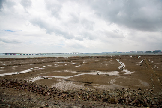 厦门沿海滩涂