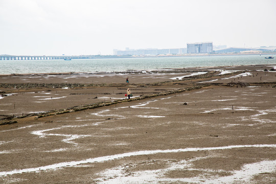 厦门沿海滩涂