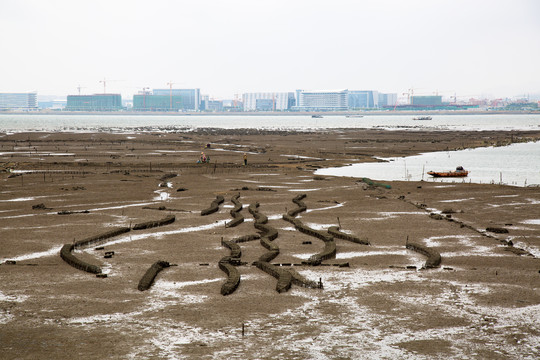 厦门沿海滩涂