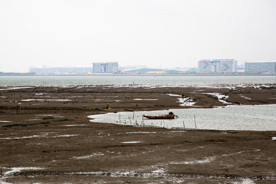 厦门沿海滩涂