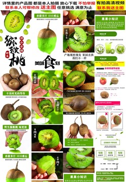 綠心獼猴桃詳情