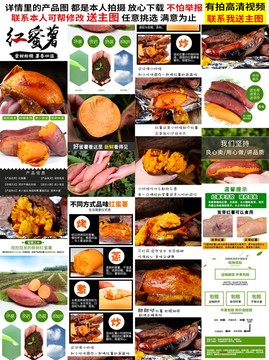 蜜薯詳情