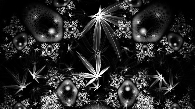 黑色絢麗星光