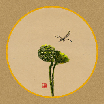 蜻蜓戲蓮蓬