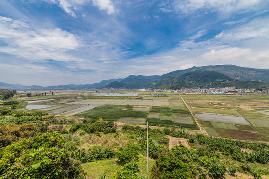 霞浦农田