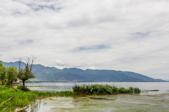 苍山洱海