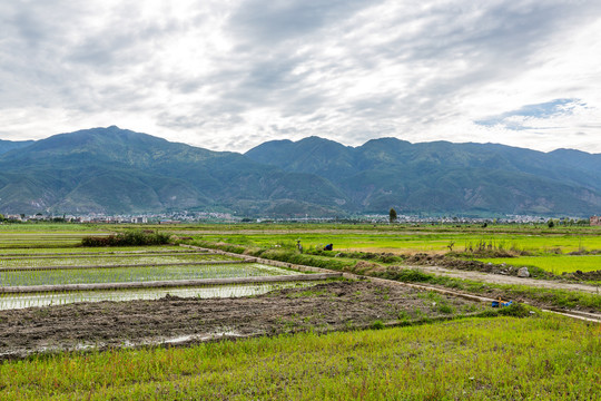 苍山洱海