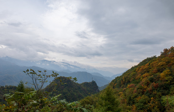 神农架风光