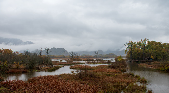 湿地公园