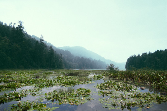 山间河流