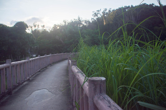 山间栈道