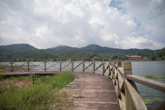 平静的湖面