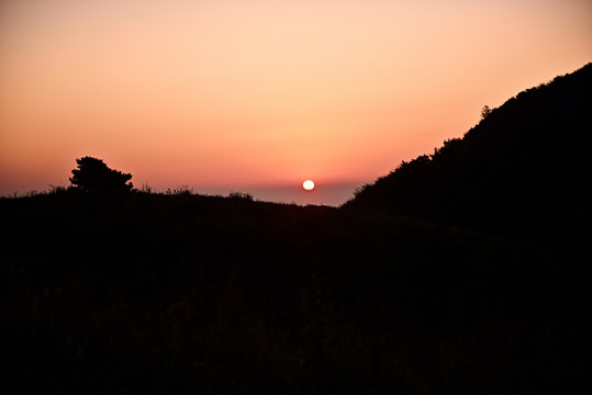 高山草原日出