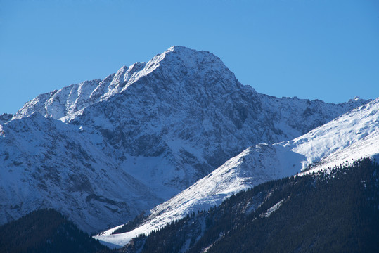 天山雪