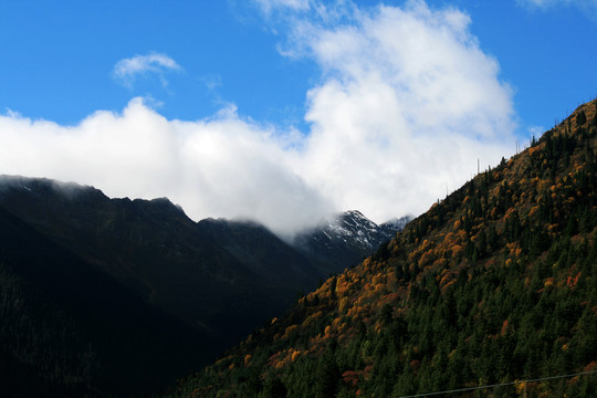 高原大山