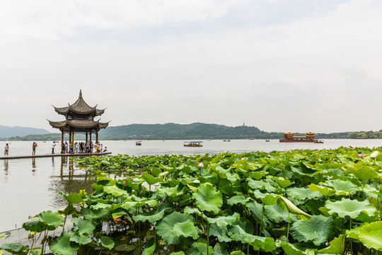 西湖美景