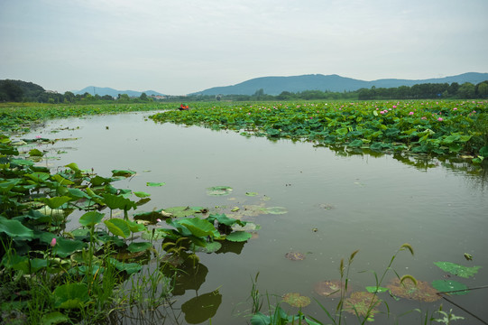 江河