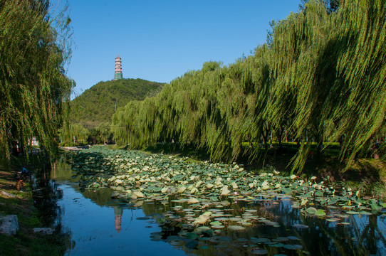 北京玉泉山