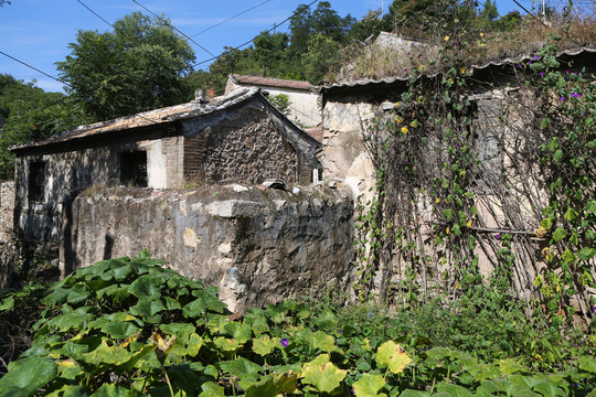 京西古村落苇子水村