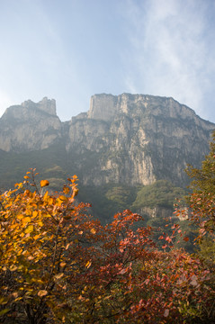 蓝天红叶和山