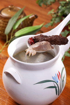 土雞海參湯