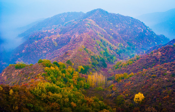 山岭秋色